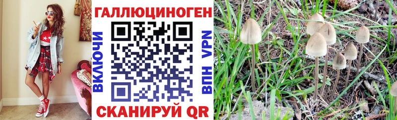 Купить где  Керчь  Псилоцибиновые грибы ЛСД 